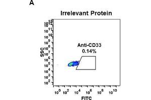 Expi 293 cell line transfected with irrelevant protein  (A) and human CD33  (B) were surface stained with Rabbit anti-CD33 monoclonal antibody 1 μg/mL  (clone: DM77) followed by Alexa 488-conjugated anti-rabbit IgG secondary antibody. (CD33 抗体  (AA 18-269))