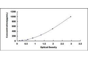 Typical standard curve (VEGF145 ELISA 试剂盒)