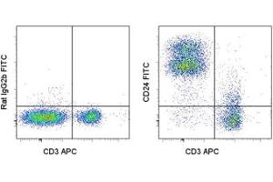 Image no. 1 for anti-CD24 Molecule (CD24) antibody (FITC) (ABIN474787) (CD24 抗体  (FITC))