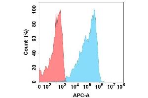 Flow cytometry analysis with Anti-CD on Expi293 cells transfected with human CD (Blue histogram) or Expi293 transfected with irrelevant protein (Red histogram). (CLEC2D 抗体)