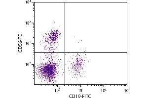 Human peripheral blood lymphocytes were stained with Mouse Anti-Human CD56-PE. (CD56 抗体  (FITC))