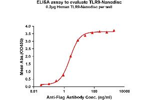 Elisa plates were pre-coated with Flag Tag -Nanodisc (0. (TLR9 蛋白)