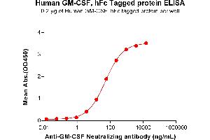 ELISA plate pre-coated by 2 μg/mL (100 μL/well) Human GM-CSF Protein, hFc Tag (ABIN7092727, ABIN7272292 and ABIN7272293) can bind Anti-GM-CSF Neutralizing antibody ABIN7478022 and ABIN7490990 in a linear range of 0. (GM-CSF Protein (AA 18-144) (Fc Tag))