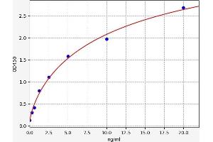 SLC25A20 ELISA 试剂盒