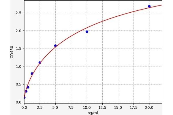 SLC25A20 ELISA 试剂盒