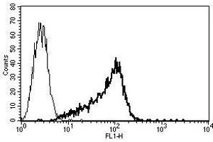 A typical staining pattern with the B-G25 monoclonal antibody of KG1a cell line (CD34 Class I 抗体)