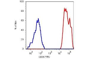 Surface staining of human platelets with anti-CD36 (TR9) FITC. (CD36 抗体  (FITC))