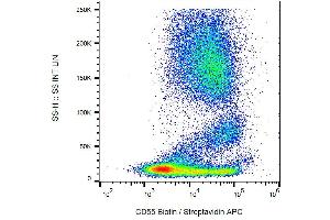 Flow cytometry analysis of Surface staining of human peripheral blood cells using CD55 Antibody (Biotin). (CD55 抗体  (Biotin))