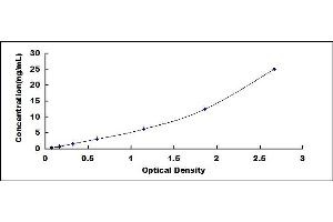 Typical standard curve (Angiotensin I Converting Enzyme 1 ELISA 试剂盒)