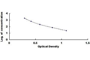 Typical standard curve (Copeptin ELISA 试剂盒)