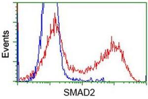 HEK293T cells transfected with either RC204604 overexpress plasmid (Red) or empty vector control plasmid (Blue) were immunostained by anti-SMAD2 antibody (ABIN2453654), and then analyzed by flow cytometry. (SMAD2 抗体)