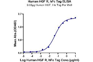 ELISA image for Met Proto-Oncogene (MET) (AA 25-932) protein (Fc Tag) (ABIN7275247)