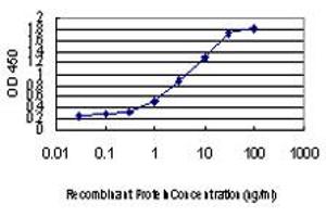 ELISA image for anti-Forkhead Box A2 (FOXA2) (AA 363-458) antibody (ABIN466039) (FOXA2 抗体  (AA 363-458))