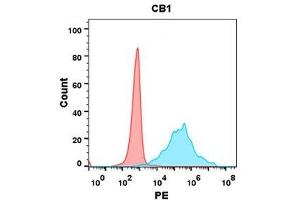 Flow cytometry analysis with Anti-CB1 (DM144) on Expi293 cells transfected with human CB1 (Blue histogram) or Expi293 transfected with irrelevant protein (Red histogram). (CNR1 抗体  (AA 1-116))