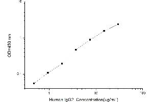 Typical standard curve (IgG2 ELISA 试剂盒)