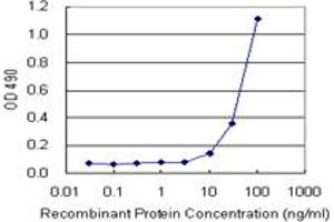 Sandwich ELISA detection sensitivity ranging from 10 ng/mL to 100 ng/mL. (CD3E (人) Matched Antibody Pair)