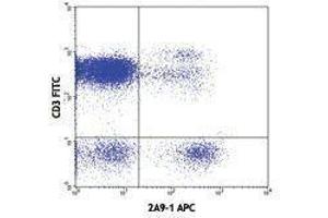 Flow Cytometry (FACS) image for anti-Chemokine (C-X3-C Motif) Receptor 1 (CX3CR1) antibody (APC) (ABIN2658299) (CX3CR1 抗体  (APC))