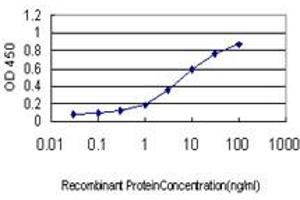 Detection limit for recombinant GST tagged NMNAT2 is approximately 0. (NMNAT2 抗体  (AA 208-307))