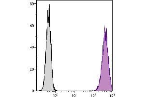 DBA/2 mouse mastocytoma cell line P815 and mB7. (CD86 抗体  (PE))