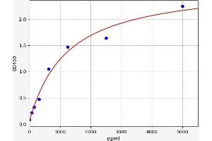 Typical standard curve (NGFR ELISA 试剂盒)