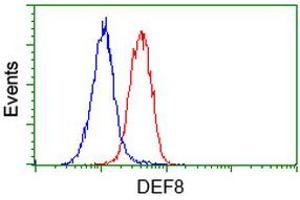 Flow cytometric Analysis of Hela cells, using anti-DEF8 antibody (ABIN2454415), (Red), compared to a nonspecific negative control antibody, (Blue). (DEF8 抗体)