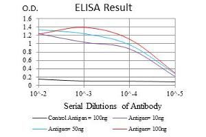 ELISA image for anti-Neurofilament, Light Polypeptide (NEFL) antibody (ABIN1108417) (NEFL 抗体)