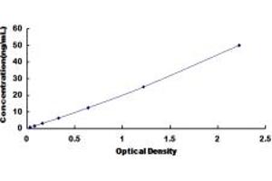 Typical standard curve (AMY1A ELISA 试剂盒)