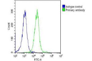 Overlay histogram showing Hela cells stained with (ABIN6244301 and ABIN6578675) (green line). (alpha Tubulin 抗体  (AA 408-439))