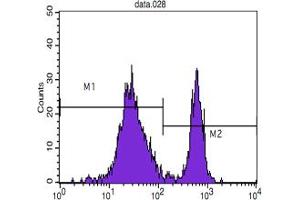 Flow cytometric analysis of blood T cells using CD4 mouse mAb (M2) and negative control (M1). (CD4 抗体)