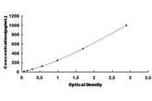 ELISA image for Vascular Endothelial Cell Growth Factor 121 (VEGF121) ELISA Kit (ABIN572433) (VEGF121 ELISA 试剂盒)