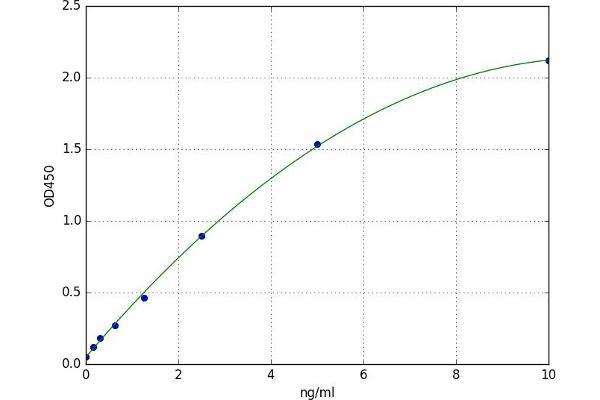 IGF2BP2 ELISA 试剂盒