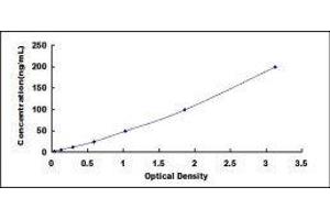 ELISA image for Hemopexin (HPX) ELISA Kit (ABIN6730956)