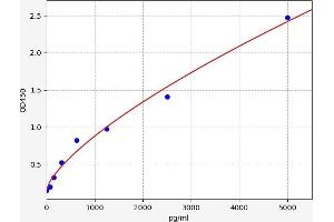 TR4 ELISA 试剂盒