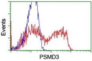 Flow Cytometry (FACS) image for anti-Proteasome (Prosome, Macropain) 26S Subunit, Non-ATPase, 3 (PSMD3) antibody (ABIN1499979) (PSMD3 抗体)