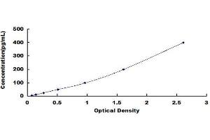 ELISA image for Transgelin (TAGLN) ELISA Kit (ABIN1572600) (Transgelin ELISA 试剂盒)