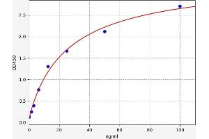 Typical standard curve (REG3g ELISA 试剂盒)