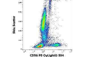 Flow cytometry surface staining pattern of human peripheral whole blood stained using anti-human CD56 (LT56) PE-DyLight® 594 antibody (10 μL reagent / 100 μL of peripheral whole blood). (CD56 抗体  (PE-DyLight 594))