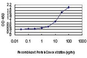 Detection limit for recombinant GST tagged DLX2 is approximately 1ng/ml as a capture antibody. (DLX2 抗体  (AA 1-110))