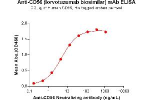 ELISA plate pre-coated by 2 μg/mL (100 μL/well) Human CD56 Protein, His Tag ABIN7092681, ABIN7272212 and ABIN7272213 can bind Anti-CD56 Neutralizing antibody (ABIN7478001 and ABIN7490940) in a linear range of 0. (Recombinant CD56 (Lorvotuzumab Biosimilar) 抗体)