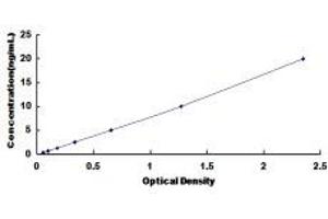 Typical Standard Curve (Anion/Sugar Transporter ELISA 试剂盒)