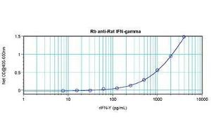 Image no. 1 for anti-Interferon gamma (IFNG) antibody (ABIN465463) (Interferon gamma 抗体)