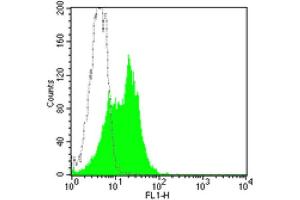 Flow Cytometry (FACS) image for anti-Intercellular Adhesion Molecule 1 (ICAM1) antibody (FITC) (ABIN2144636) (ICAM1 抗体  (FITC))