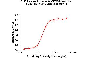 Elisa plates were pre-coated with Flag Tag -Nanodisc (0. (GPR75 蛋白)