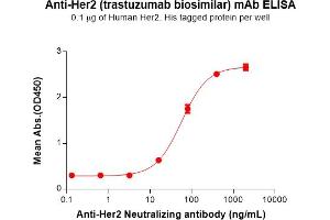 ELISA plate pre-coated by 1 μg/mL (100 μL/well) Human Her2, His tagged protein (ABIN6964074, ABIN7042403 and ABIN7042404) can bind Anti-Her2 (trastuzumab biosimilar) mAb (ABIN7093066 and ABIN7272596) in a linear range of 3. (Recombinant ErbB2/Her2 (Trastuzumab Biosimilar) 抗体)