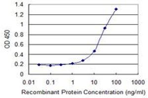 Detection limit for recombinant GST tagged GNG5 is 1 ng/ml as a capture antibody. (GNG5 抗体  (AA 1-68))