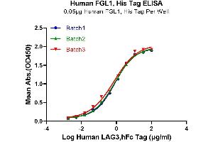 ELISA image for Fibrinogen-Like 1 (FGL1) (AA 64-305) protein (His-Avi Tag) (ABIN7274642)