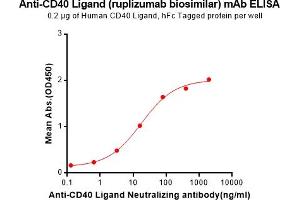 ELISA plate pre-coated by 2 μg/mL (100 μL/well) Human CD40 Ligand Protein, hFc Tag (ABIN6964081, ABIN7042417 and ABIN7042418) can bind Anti-CD40L Neutralizing antibody (ABIN7093061 and ABIN7272591) in a linear range of 0. (Recombinant CD40L (Ruplizumab Biosimilar) 抗体)