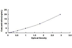 ELISA image for Desmin (DES) ELISA Kit (ABIN1028536) (Desmin ELISA 试剂盒)