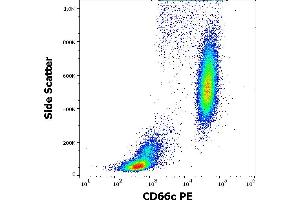 Flow cytometry surface staining pattern of human peripheral whole blood stained using anti-human CD66c (B6. (CEACAM6 抗体  (PE))