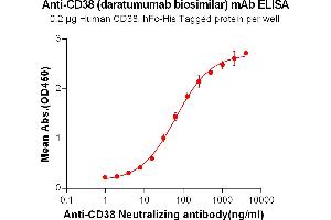 ELISA plate pre-coated by 2 μg/mL (100 μL/well) Human CD38, hFc-His tagged protein (ABIN6961077, ABIN7042183 and ABIN7042184) can bind Anti-CD38 Neutralizing antibody in a linear range of 0. (Recombinant CD38 (Daratumumab Biosimilar) 抗体)